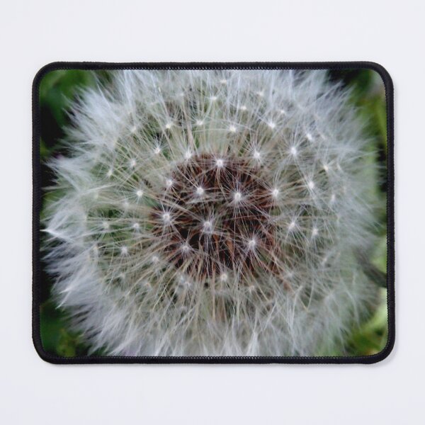 Item preview, Dandelion flower 14  designed and sold by Gotoo.