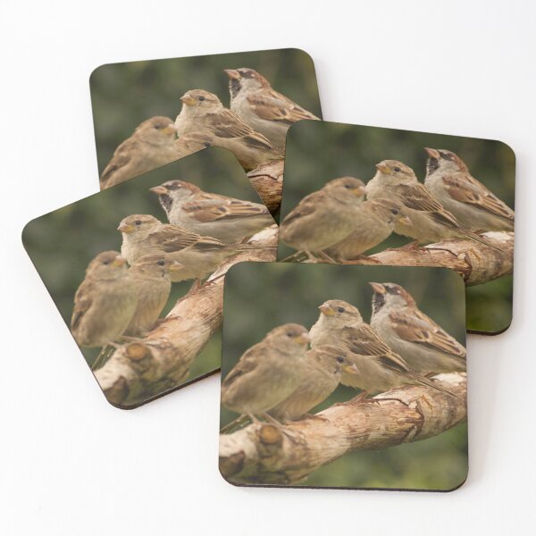 Item preview, House Sparrows designed and sold by ollygriffin.