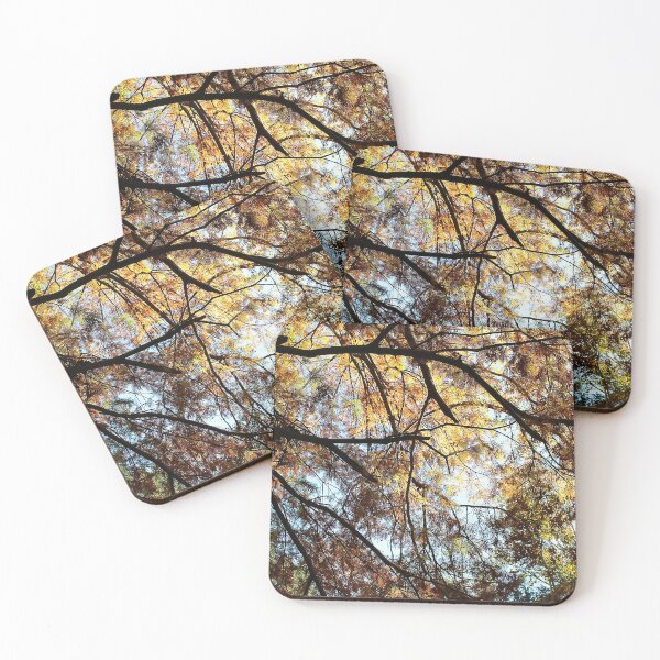 Item preview, Through the Cypress designed and sold by Lens2Canvas.