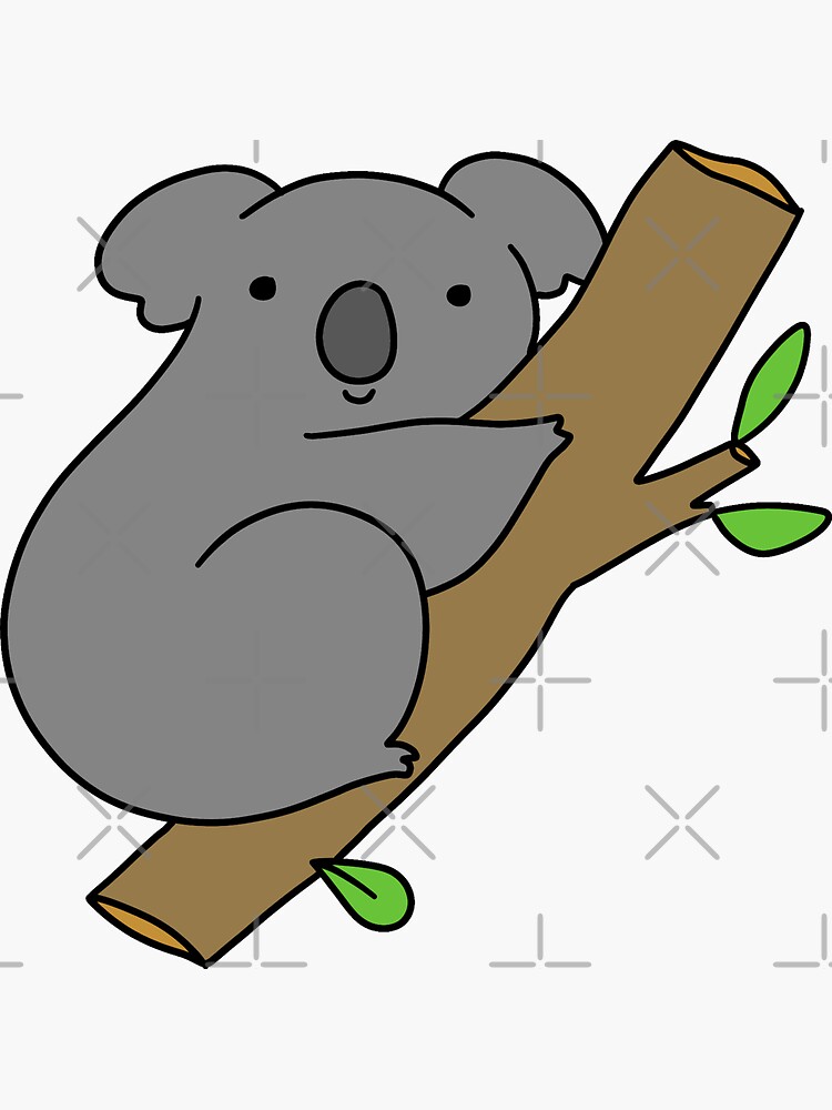 Escalando Koala de SaradaBoru