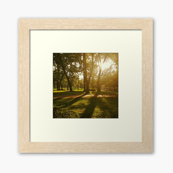 Orange-ray Park Framed Art Print