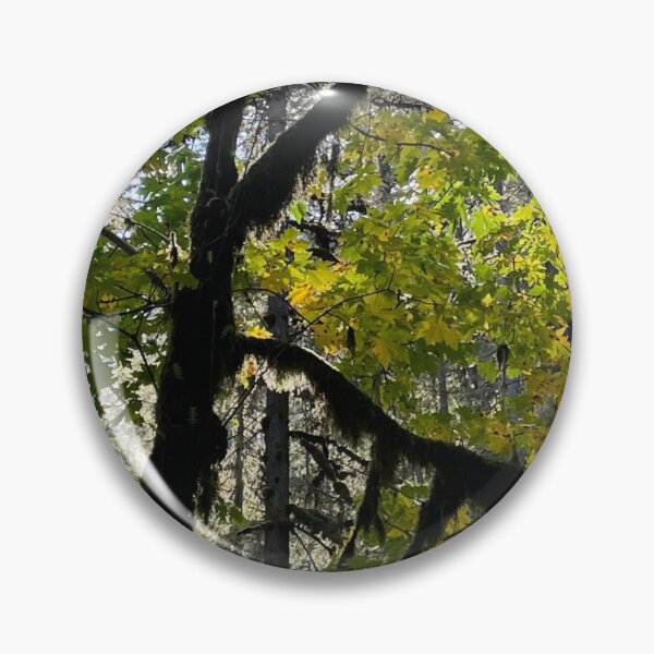Item preview, Letter K Gods Creation Initials Nature Trees Light Sun designed and sold by CreationViewArt.