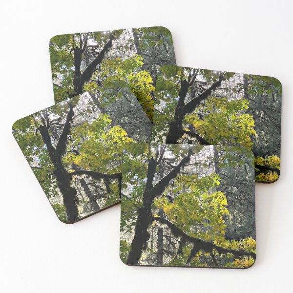Item preview, Letter K Gods Creation Initials Nature Trees Light Sun designed and sold by CreationViewArt.