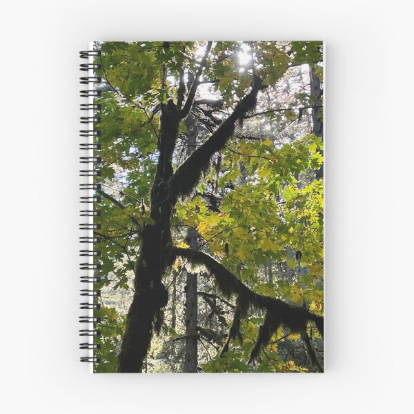 Item preview, Letter K Gods Creation Initials Nature Trees Light Sun designed and sold by CreationViewArt.