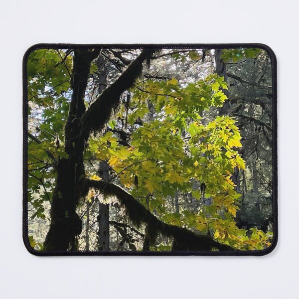 Item preview, Letter K Gods Creation Initials Nature Trees Light Sun designed and sold by CreationViewArt.