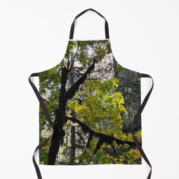 Item preview, Letter K Gods Creation Initials Nature Trees Light Sun designed and sold by CreationViewArt.