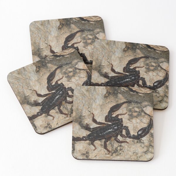 Item preview, Big Bend Scorpion Print designed and sold by Paul-Prints.