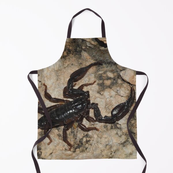 Item preview, Big Bend Scorpion Print designed and sold by Paul-Prints.