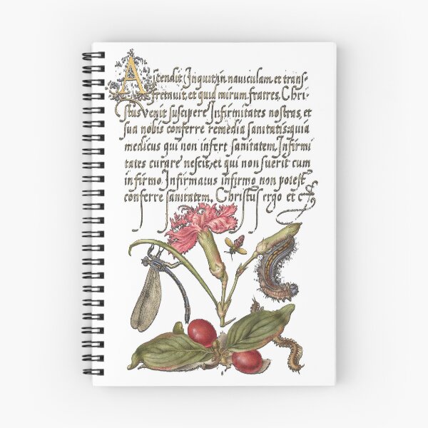 Item preview, Dragonfly, Carnation, Firebug, Caterpillar, Carnelian Cherry, and Centipede from Model Book of Calligraphy (1561–1596) designed and sold by mycloudzdesign.