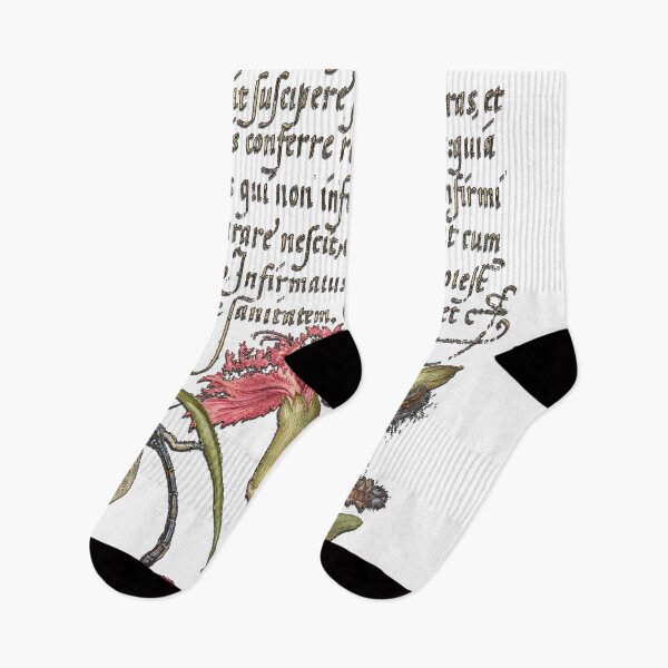 Item preview, Dragonfly, Carnation, Firebug, Caterpillar, Carnelian Cherry, and Centipede from Model Book of Calligraphy (1561–1596) designed and sold by mycloudzdesign.
