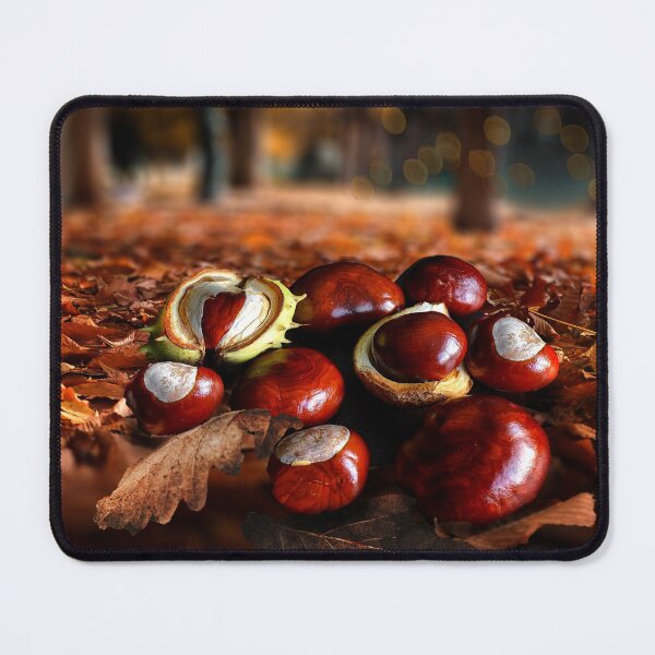 Item preview, Autumn Conkers designed and sold by Alisonchambers2.