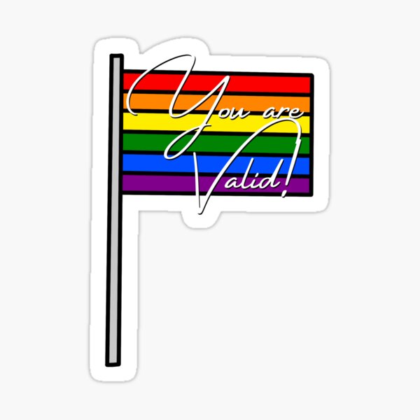 Pride You're Valid Flag Sticker