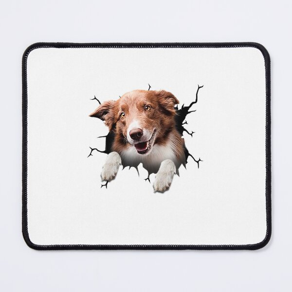 Item preview, Border Collie Crack Vinyl Car Decals For Windows Corny Jokes Custom Stickers designed and sold by BroxonJames.