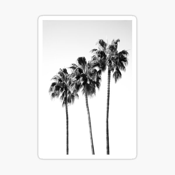 Item preview, Palm Trees Black & White Vibes #4 #wall #decor #art designed and sold by Anita's & Bella's Art.