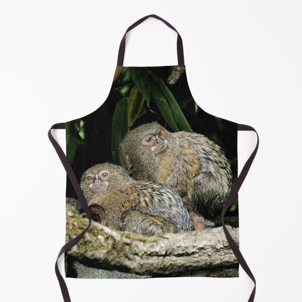 Item preview, r965 / New Finition 2021 " Petit Singe " Ouistiti Pygmée " le Duo " (h) Olavia-Olao Okaio Créations designed and sold by o.okaïo.