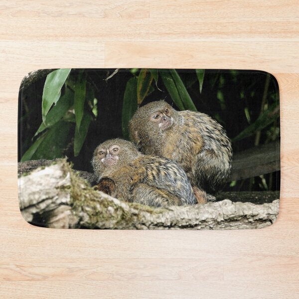 Item preview, r965 / New Finition 2021 " Petit Singe "  Ouistiti Pygmée  " le Duo " (h)  Olavia-Olao Okaio Créations designed and sold by o.okaïo.