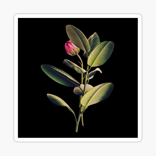 Artikel-Vorschau von Schöne Blumen 17, designt und verkauft von Studio-Sy.
