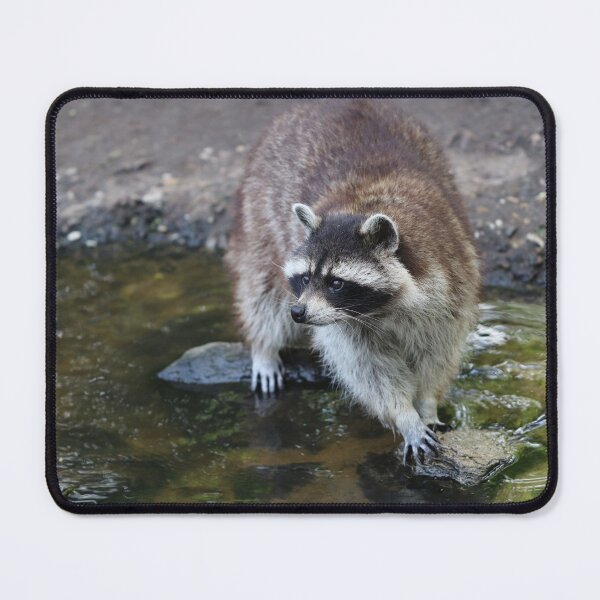Item preview, Is the Food Better Over There? designed and sold by cuprum.