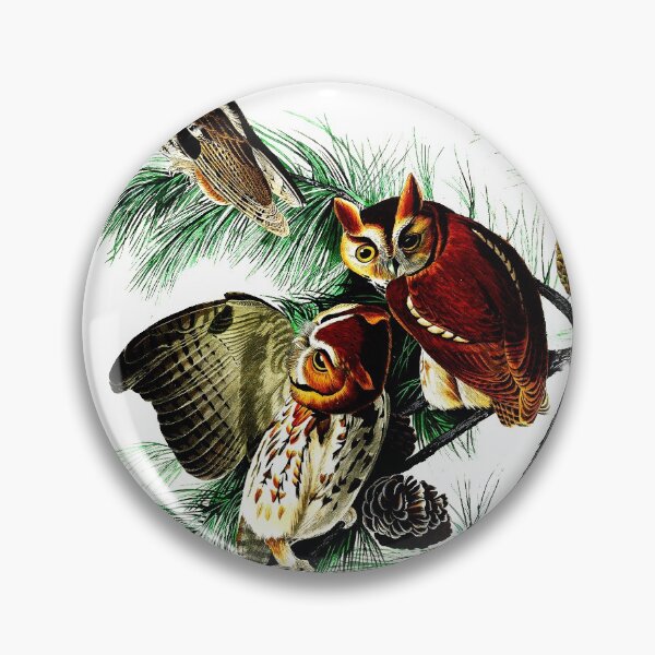 Item preview, Spectacular image of American Owls Parched in a tree.  designed and sold by mrtom414.