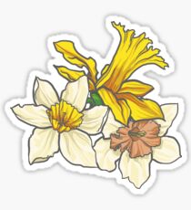Daffodil - March Birth Flower Sticker