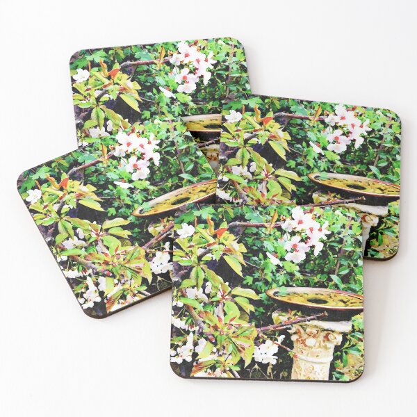 Item preview, Bird Bath & Spring Blossoms (watercolour) designed and sold by PaisleyMcNoodle.