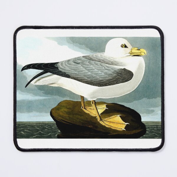 Item preview, Amazing image of a sea gull perched on a rock designed and sold by mrtom414.