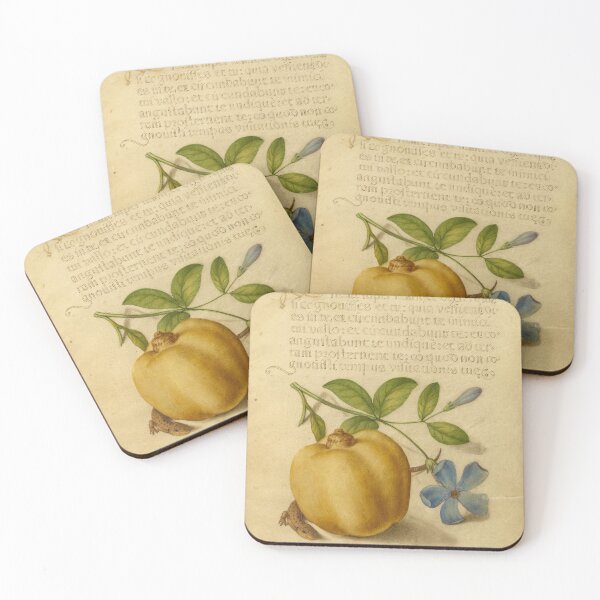 Item preview, Naturalist Manuscript Fruit, Plant and Animal Illumination: Periwinkle, Apple, and Lizard by Joris Hoefnagel  designed and sold by Naturalist Prints.