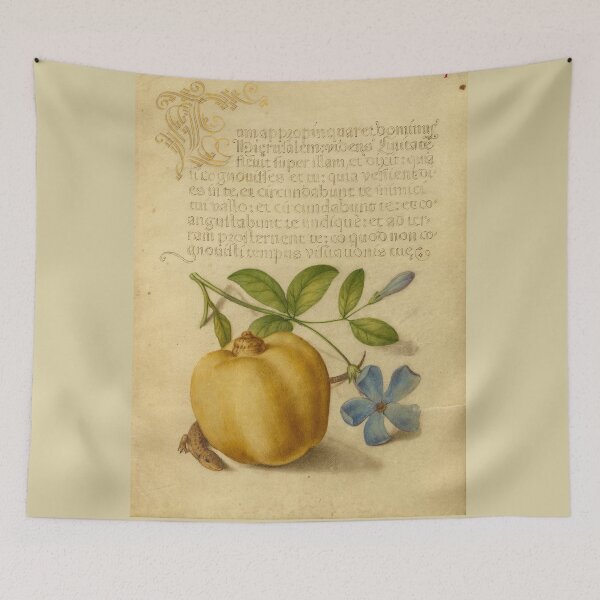 Item preview, Naturalist Manuscript Fruit, Plant and Animal Illumination: Periwinkle, Apple, and Lizard by Joris Hoefnagel  designed and sold by Naturalist Prints.