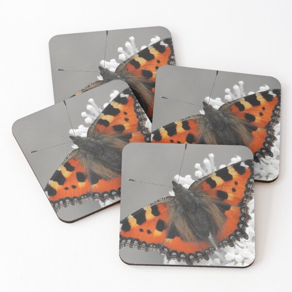 Item preview, Small tortoiseshell butterfly photograph designed and sold by KaisPrints.