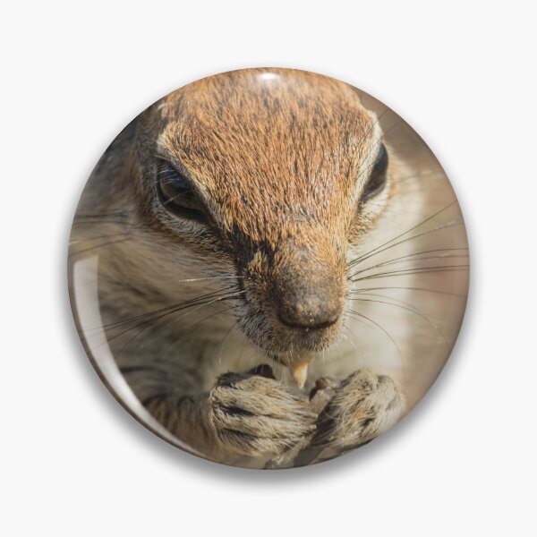 Item preview, A chipmunk eating a peanut designed and sold by Anita van Gendt.