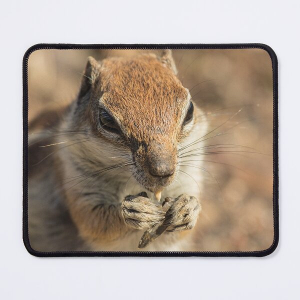 Item preview, A chipmunk eating a peanut designed and sold by Anita van Gendt.