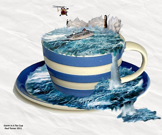 storm in a tea cup book