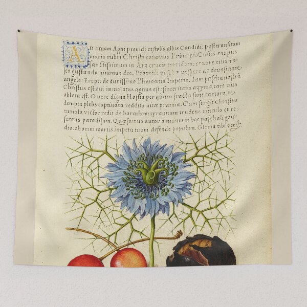 Item preview, Naturalist Manuscript Fruits and Flower Illumination: Love-in-a-Mist, Sweet Cherry, and Spanish Chestnut by Joris Hoefnagel  designed and sold by Naturalist Prints.