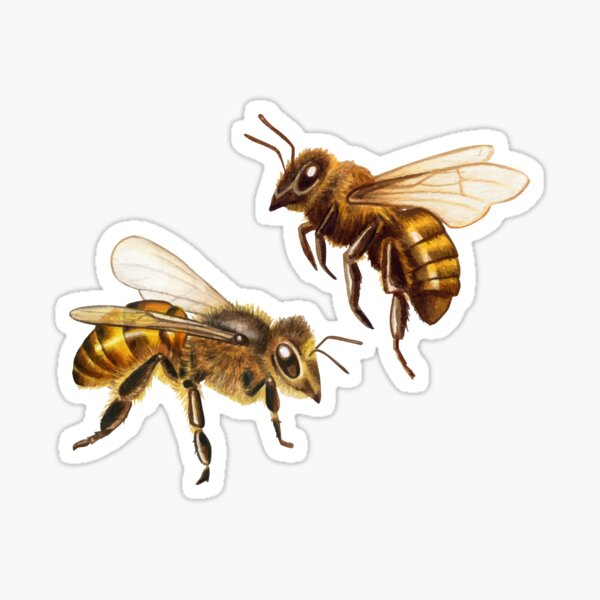 Item preview, Happy Bee collects honey designed and sold by Emil1993.