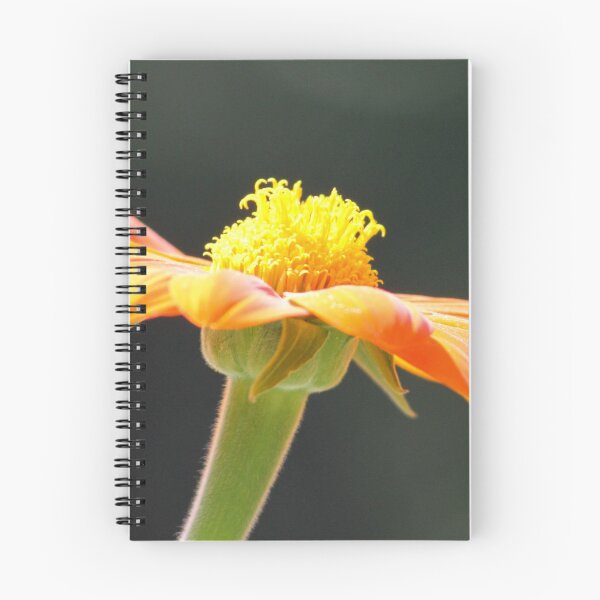Item preview, Simple Flower designed and sold by milo1262.