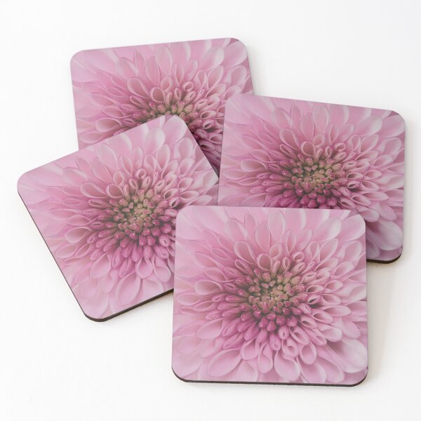 Item preview, Pink Chrysanthemum Close Up - Garden designed and sold by Lisa Thomas.