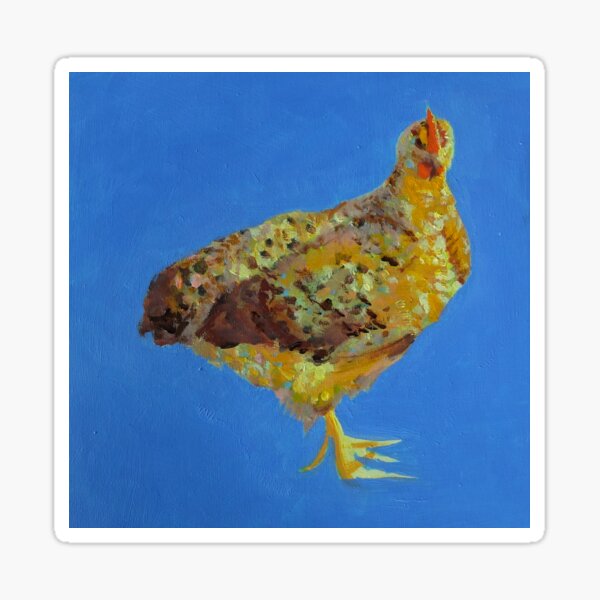 Missisquoi Chicken #2 Sticker