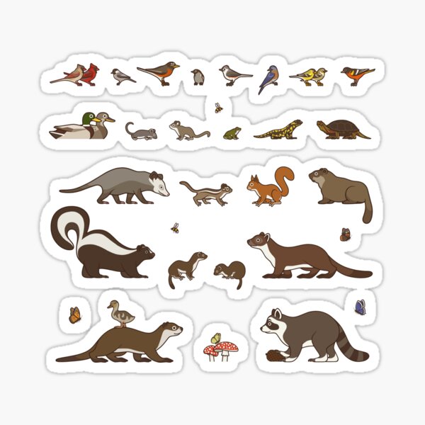 Die Tierwelt von Neuengland Identification Chart  Sticker