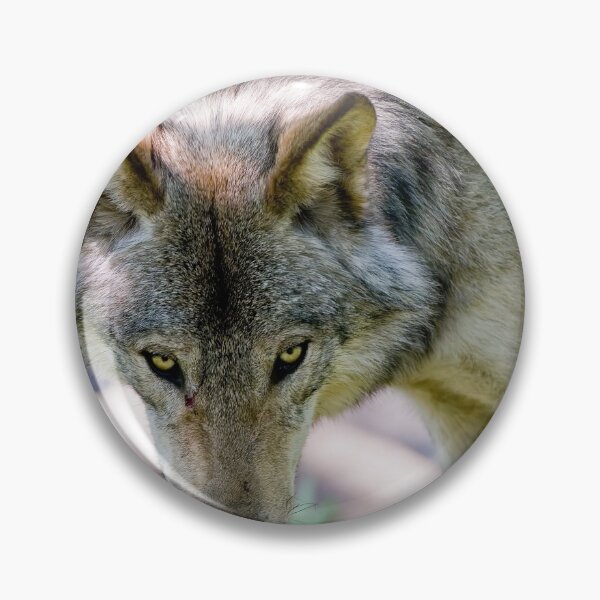 Item preview, Gray Wolf designed and sold by Michael Cummings.