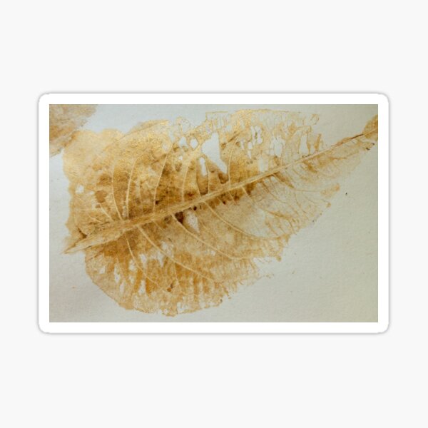 Item preview, Skeleton Leaf Print in Gold designed and sold by Alchemia.