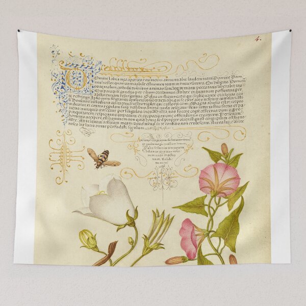 Item preview, Naturalist Manuscript Vegetable, Flowers and Insect Illumination: Fly or Blister Beetle, Willow Bellflower, Gourd, and Bindweed by Joris Hoefnagel  designed and sold by Naturalist Prints.