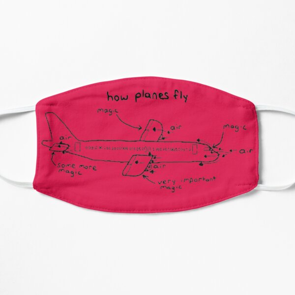 How Planes Fly Flat Mask