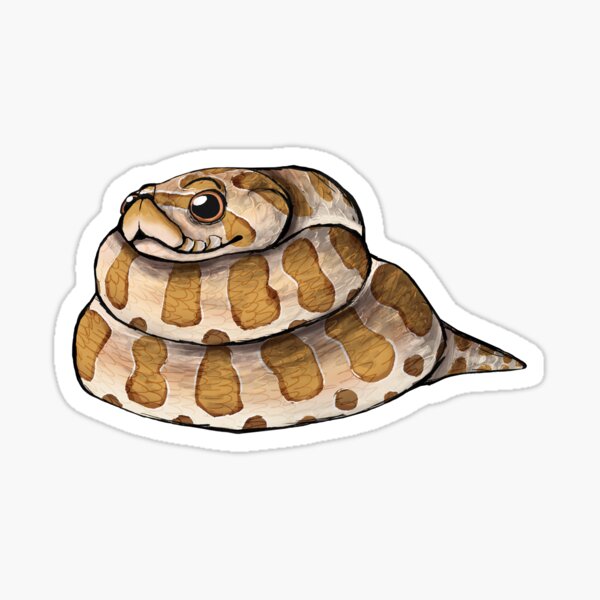 Bisssexual Snake - Reptile - Sticker