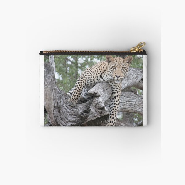 Item preview, Sabi Sabi - Leopard Stare designed and sold by Samantha Bailey.