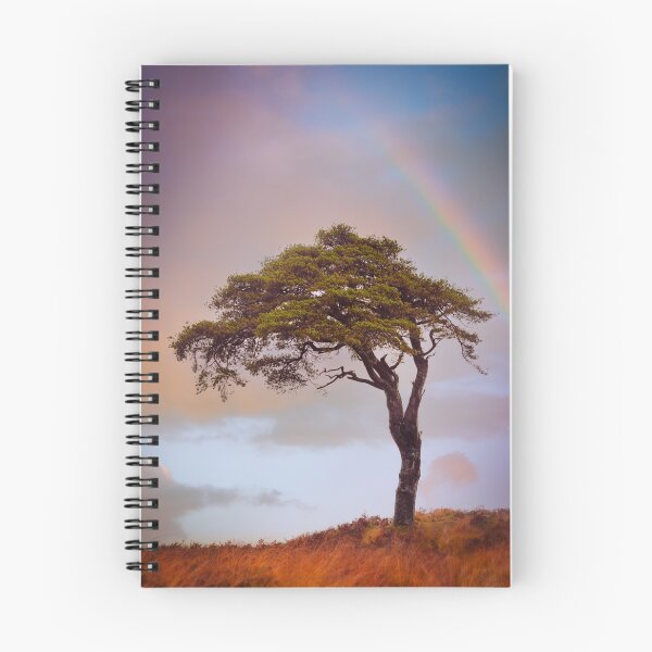 Artikelvorschau, Regenbogen über dem einsamen Baum bei Priddy, Somerset entworfen und verkauft von Victoria Ashman.