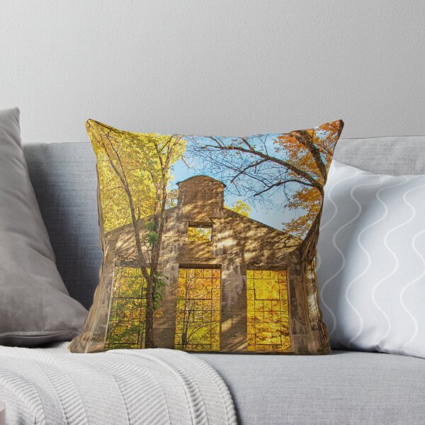 Item preview, Fall colors at the Carbide Willson Ruins in Gatineau Park designed and sold by Karen Hogan.