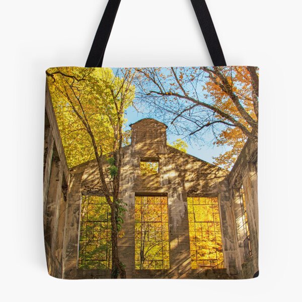 Item preview, Fall colors at the Carbide Willson Ruins in Gatineau Park designed and sold by Karen Hogan.