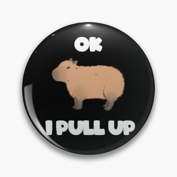 ok i pull up capybara by ParallelTapeLimiter29348 Sound Effect  Tuna