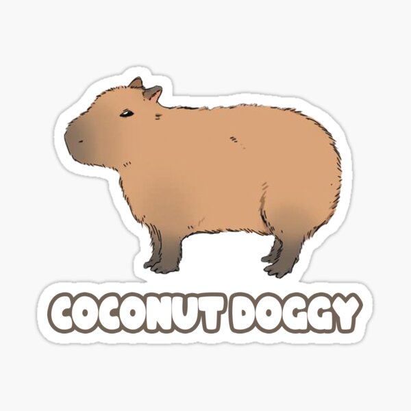 Top 66 capybara meme anime  induhocakina