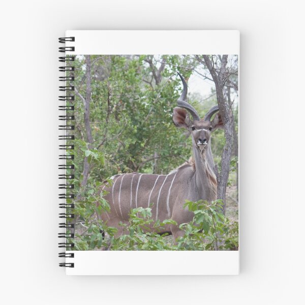 Item preview, Sabi Sabi - Kudu Bull designed and sold by Samantha Bailey.